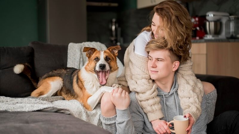 social lovelolablog